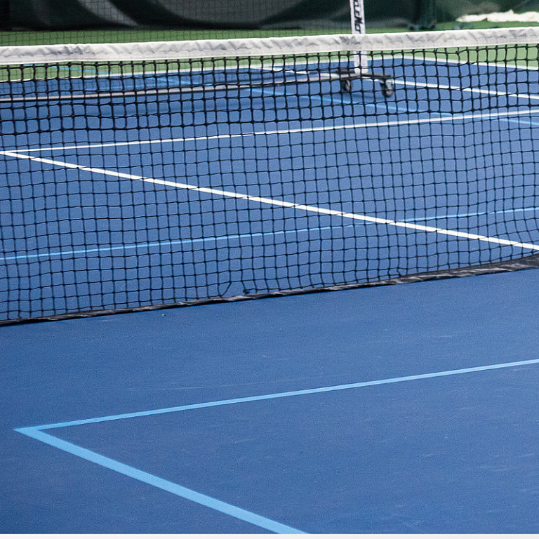 MVP Rockford, ELM community Pickleball Event