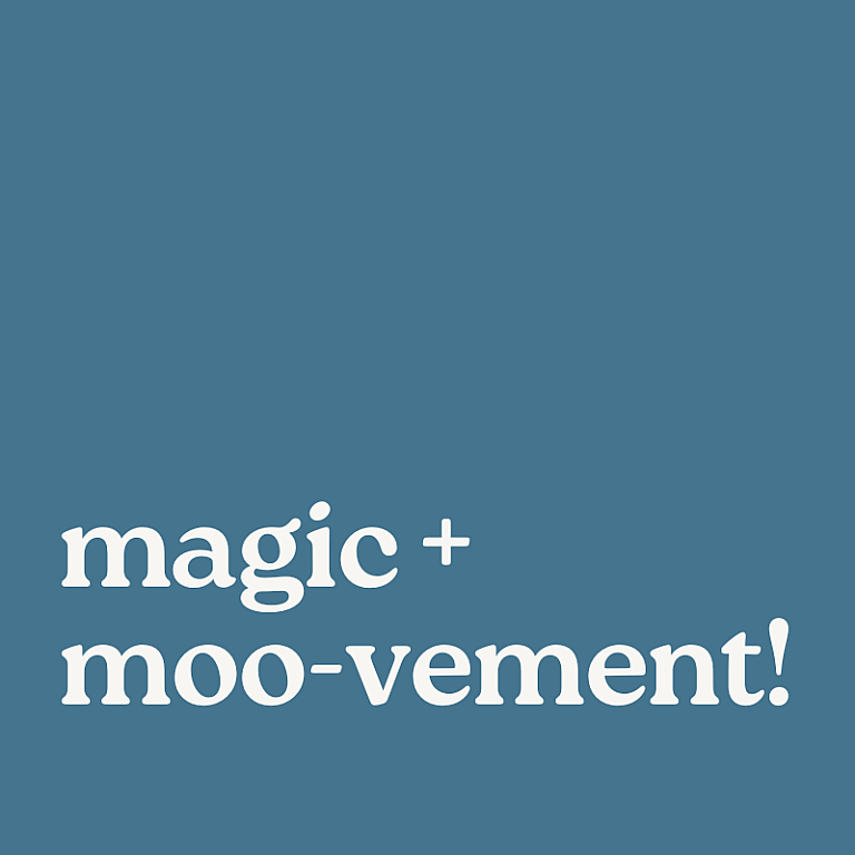 MVP Holland Magic Moovement