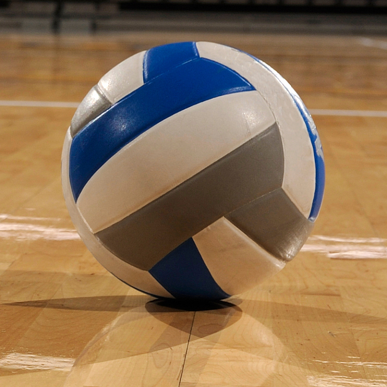 MVP Holland, Pickup Volleyball